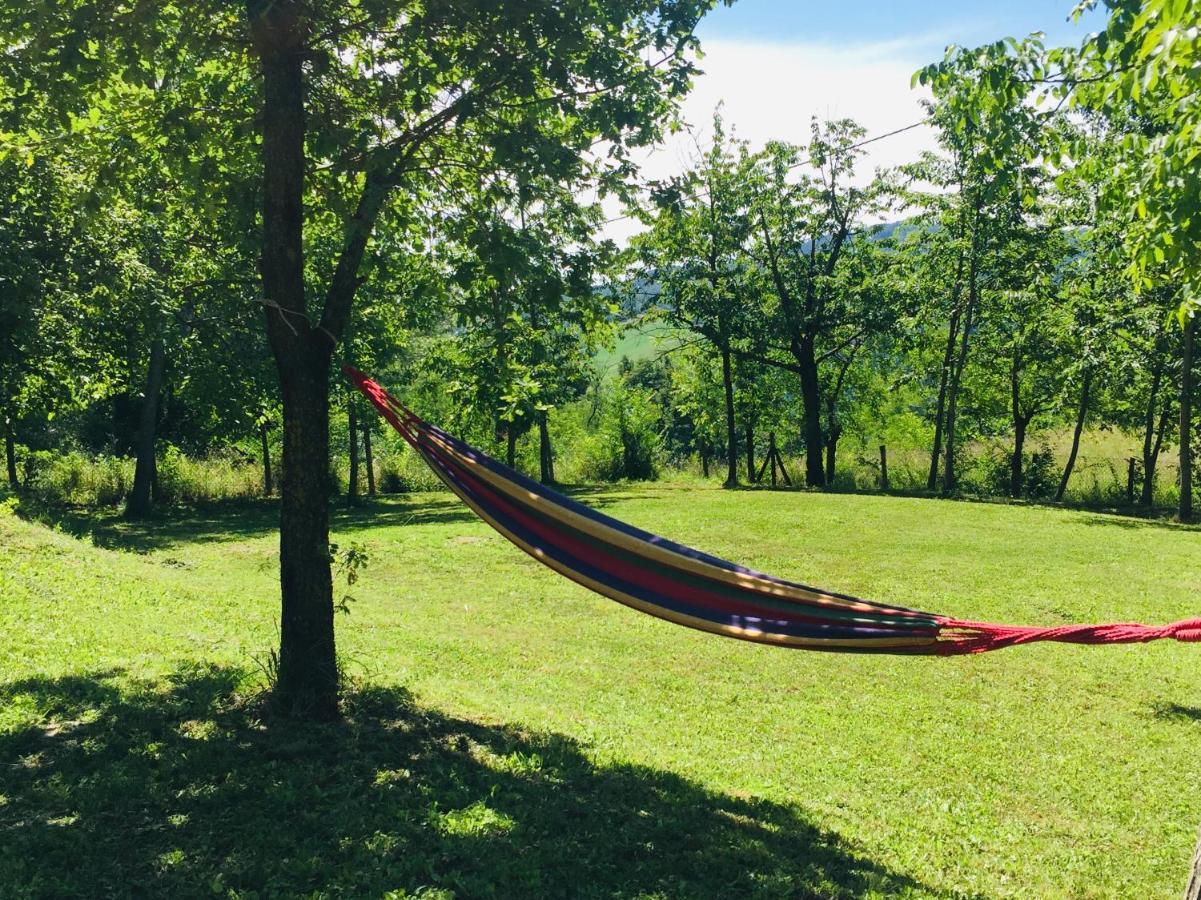 B&B I Falchi Pellegrini Monzuno Exteriér fotografie
